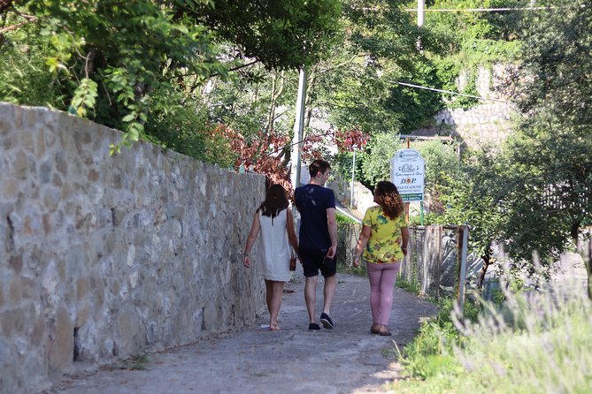 Olive Oil Tasting in Sorrento - Itinerary Details