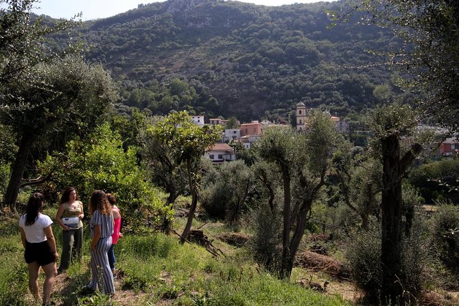Olive Oil Tasting in Sorrento - Customer Reviews