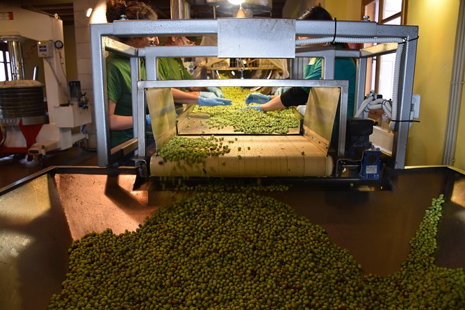 Olive Oil Tasting Tour - Tasting the Olive Oils