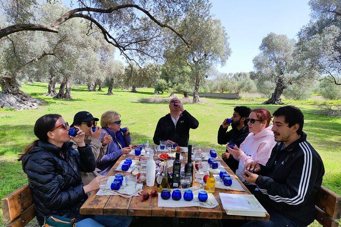 Olive Oil Tasting Under the Shades of Olive Trees / Crete - Pairing Olive Oil With Cretan Cuisine