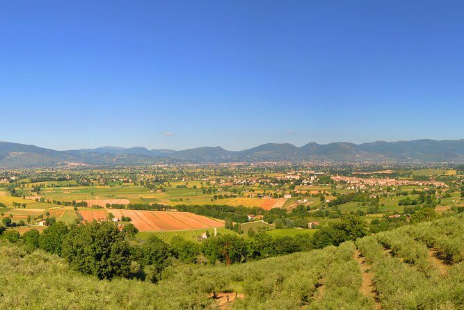 Olive oil tasting with oil mill tour in Umbria. - Detailing the Itinerary: What to Expect