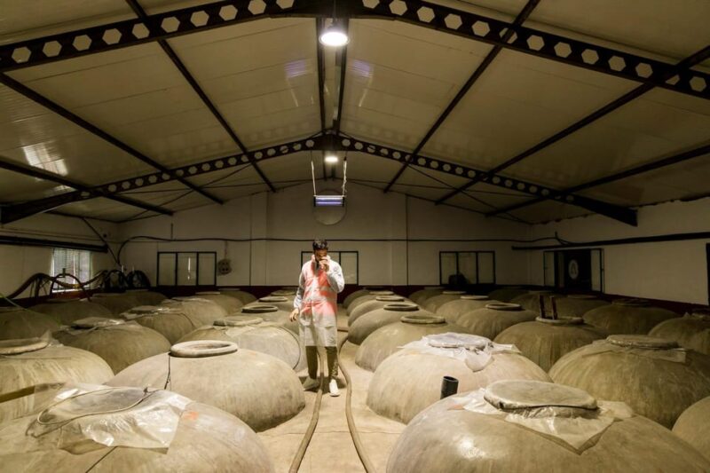 OLIVE OIL & WINE TOUR Organic Fields - 5 WINEs + 3OLIVE OILs - Getting There