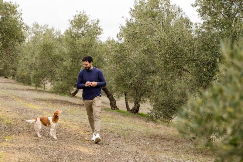 OLIVE OIL & WINE TOUR Organic Fields - 5 WINEs + 3OLIVE OILs - Exploring the Organic Fields