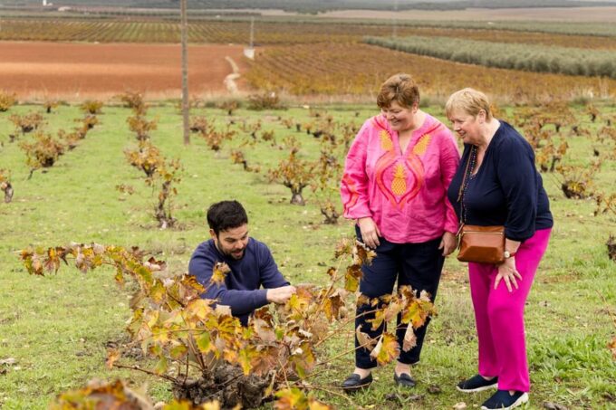 OLIVE OIL & WINE TOUR Organic Fields - 5 WINEs + 3OLIVE OILs - Supporting the Olivares Foundation