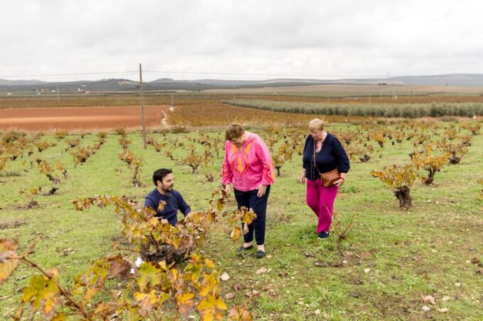 OLIVE OIL & WINE TOUR Organic Fields - 5 WINEs + 3OLIVE OILs - Booking Information