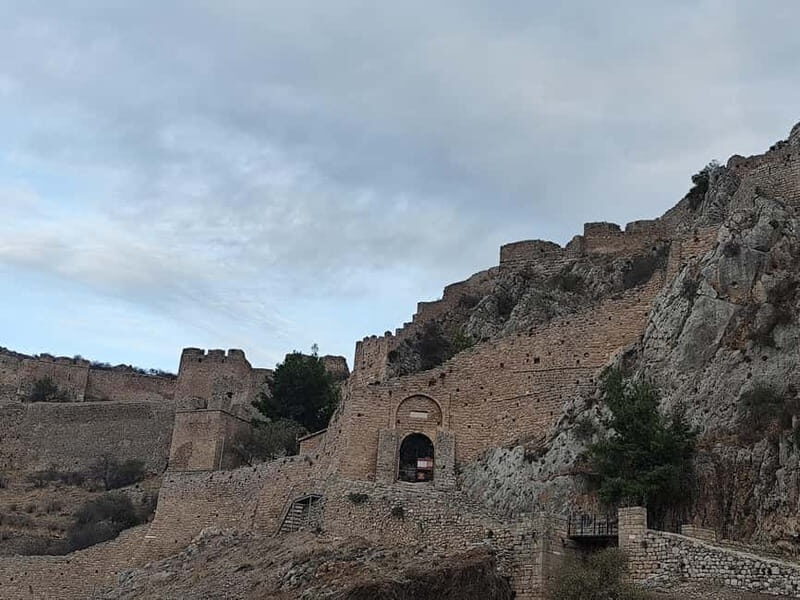 Olive Oil & Wine Trip Tasting With Pickup (7 Hours) - Who Will Love This Tour?