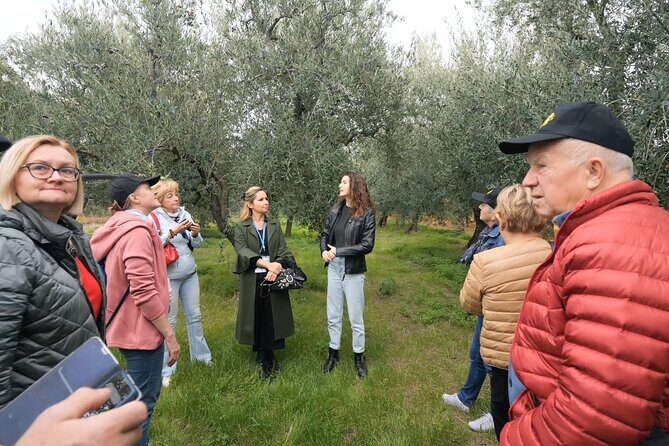 Olive Tree Tour, Visit Vallarella Oil Mill, Oil Tasting - Key Points
