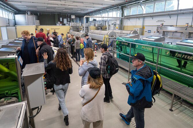 Olive Tree Tour, Visit Vallarella Oil Mill, Oil Tasting - A Closer Look at the Olive Tree Tour in Bari