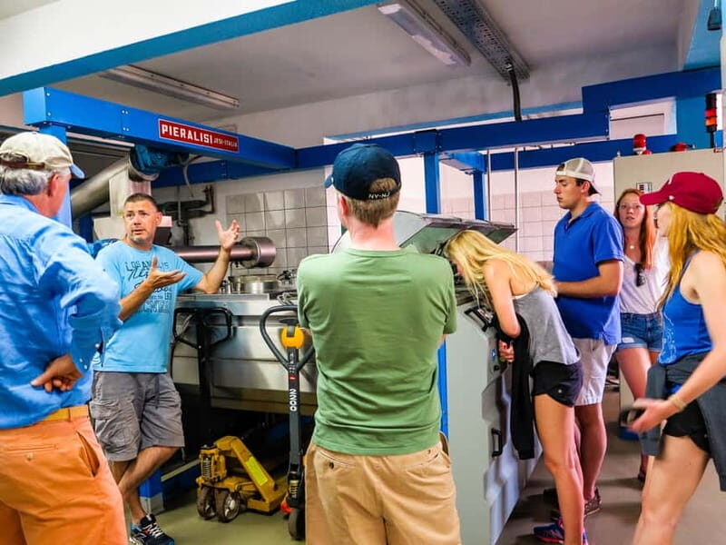 olta Island from Split: 5-Hour Olive Oil Tour with Lunch - Who Will Love This Tour?