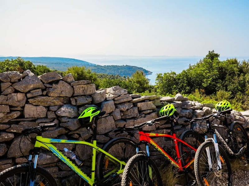 olta Island: Self-Guided Bike Tour - A Deep Dive into the Tour Experience