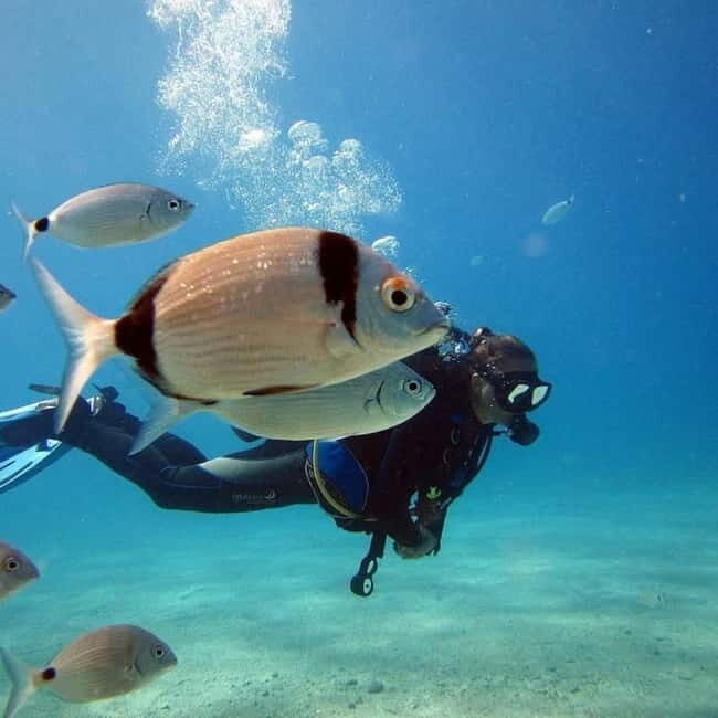 Oludeniz Half Day Scuba Diving Program - Who Should Consider This Tour?