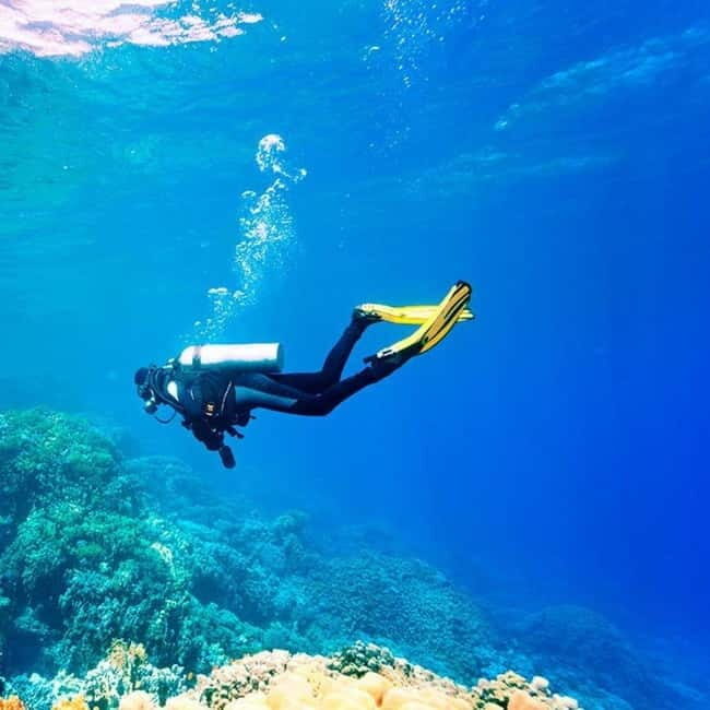 Oludeniz Half Day Scuba Diving Program - FAQs