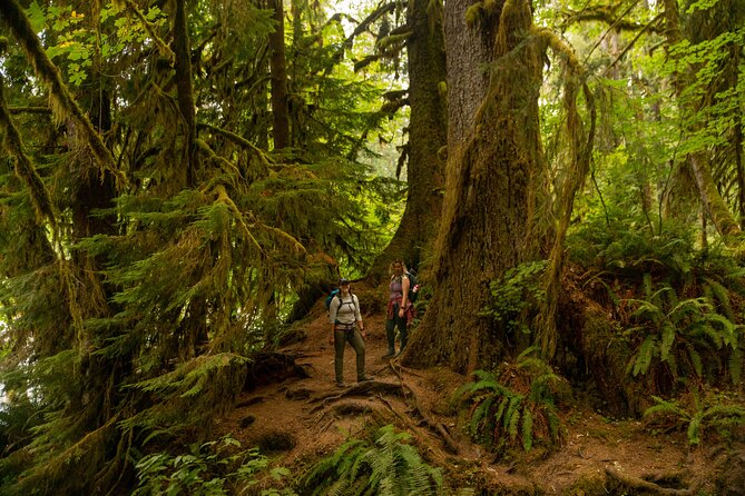 Olympic Full Day Private Tour and Hike - Itinerary and Experience