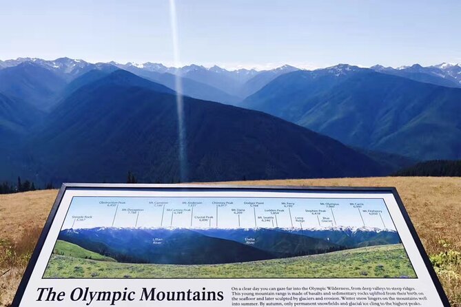Olympic National Park Full-Day Tour W/ Scenic State Ferries - Customer Feedback and Experiences