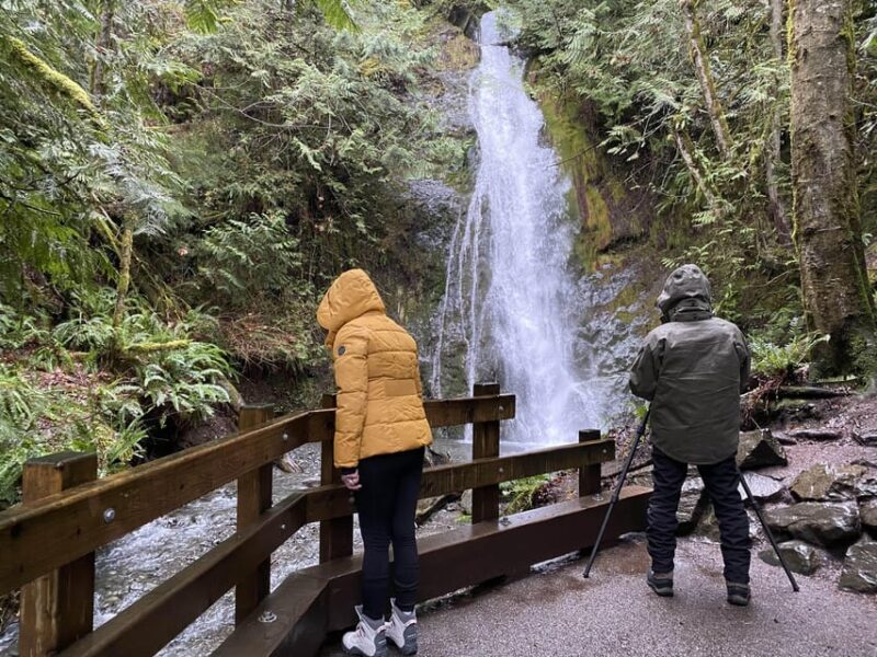 Olympic National Park: Half-Day Tour - Introduction