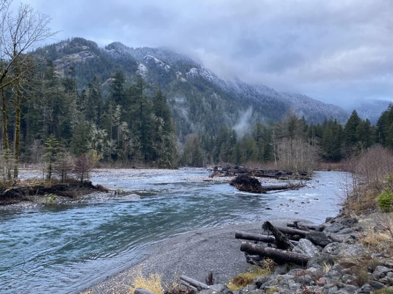 Olympic National Park: Half-Day Tour - Customer Feedback