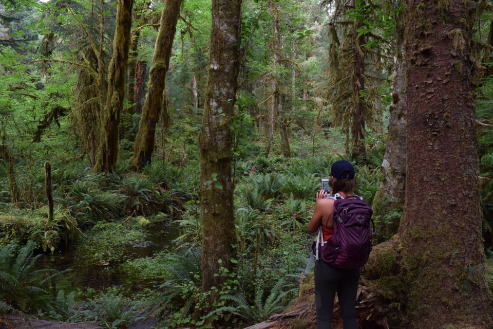 Olympic National Park: Hoh Rain Forest and Rialto Beach Tour - Hoh Rain Forest Hike