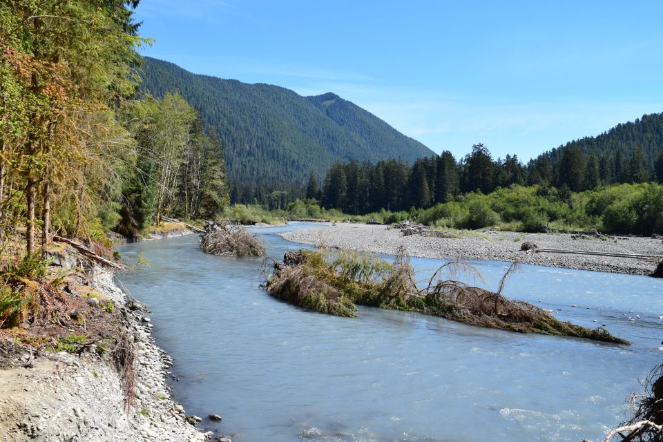 Olympic National Park: Hoh Rain Forest and Rialto Beach Tour - Rialto Beach Exploration