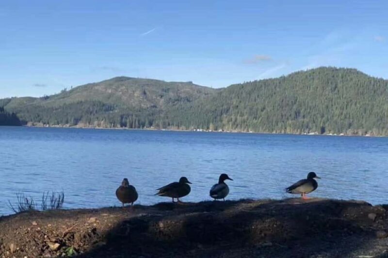 Olympic National Park Small Group Day Tour w/ State Ferries - Key Points