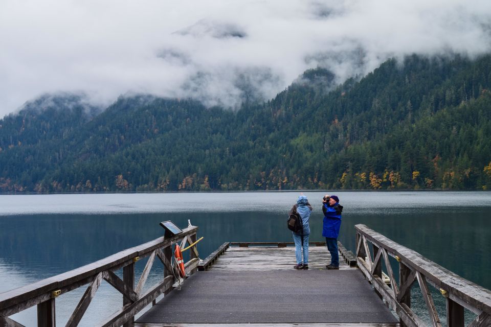 Olympic National Park: Sol Duc and Hurricane Ridge Tour - Group Size and Guide