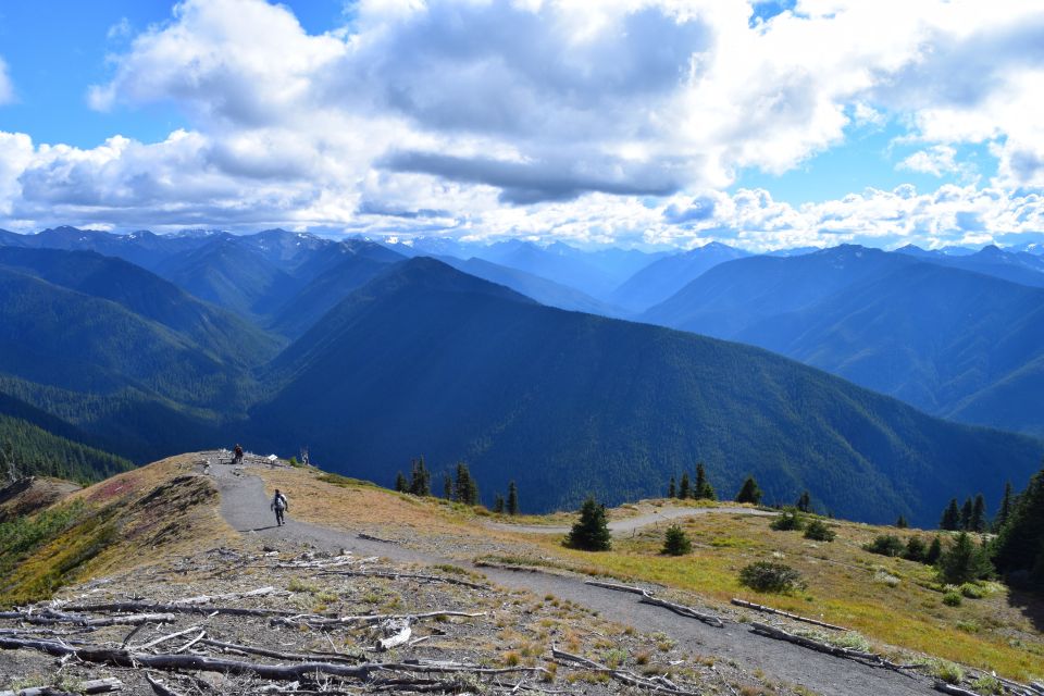 Olympic National Park: Sol Duc and Hurricane Ridge Tour - Reservation and Payment