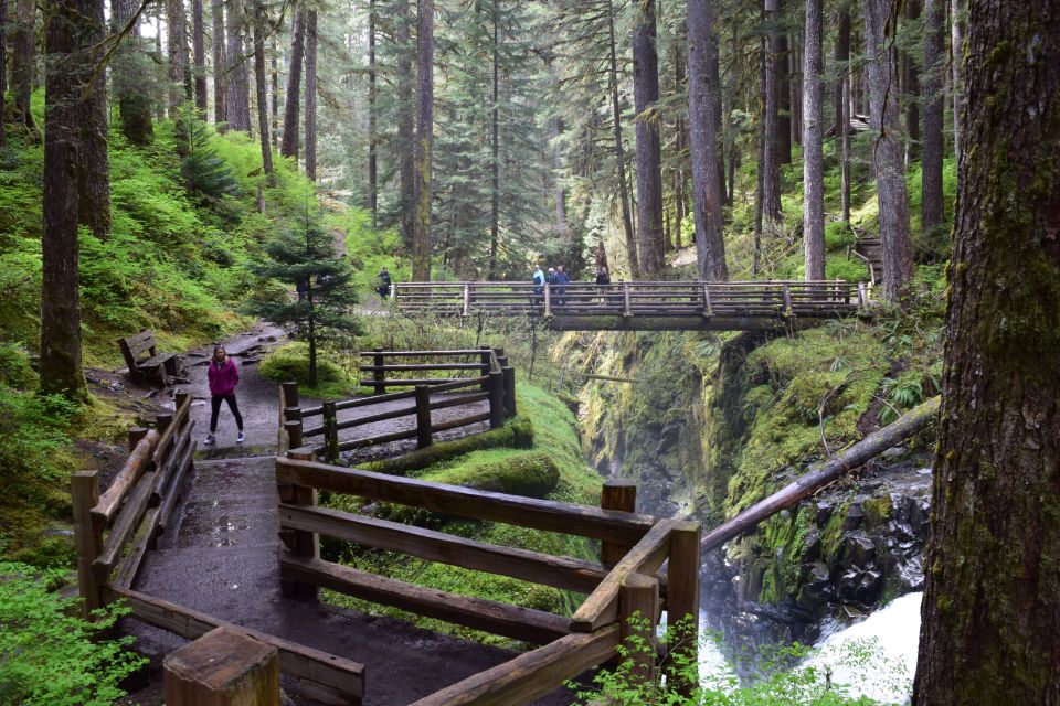 Olympic National Park: Sol Duc and Hurricane Ridge Tour - Hurricane Ridge Adventures