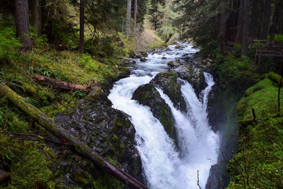 Olympic National Park: Sol Duc and Hurricane Ridge Tour - Frequently Asked Questions