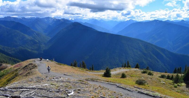 Olympic National Park: Sol Duc Falls & Hurricane Ridge Tour - Climbing to Hurricane Ridge