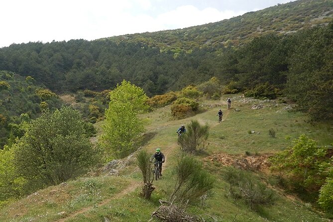 Olympus Mountain Biking - Rides Tailored to You - Praise From Previous Participants