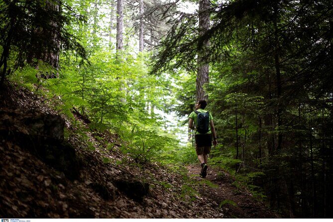 Olympus the mountain of the 12 gods of Greek mythology Smallgroup - The Itinerary: What to Expect at Each Stop