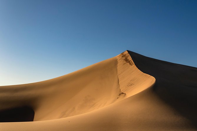 Oman Desert Experience - Wahiba Sands - Important Tour Information
