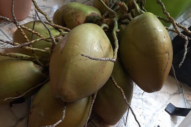 Omar's River Tubing from Montego Bay - Authentic Reviews and What Travelers Love