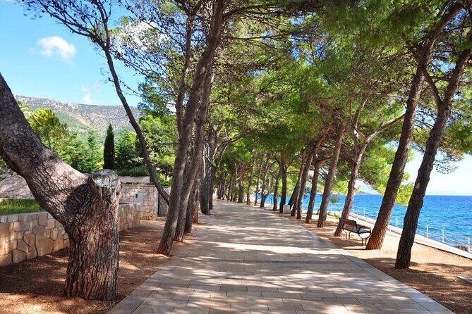 Omi: Bol and Golden Horn Beach Boat Trip with Lunch - Who Should Consider This Tour?