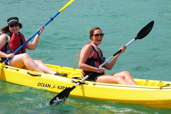 On Your Own: Kayak in the Mangrove Lagoon - What Makes This Tour Stand Out