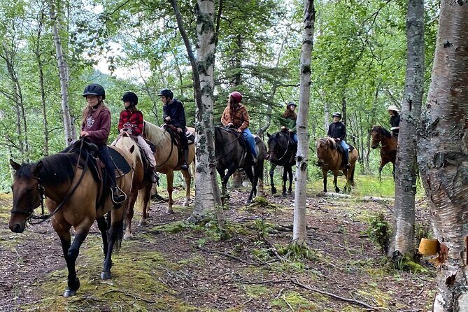 One and Half Hour Trail Ride at The Base of Chugach Mountains - Discover the Magic of a 1.5-Hour Trail Ride at the Base of the Chugach Mountains