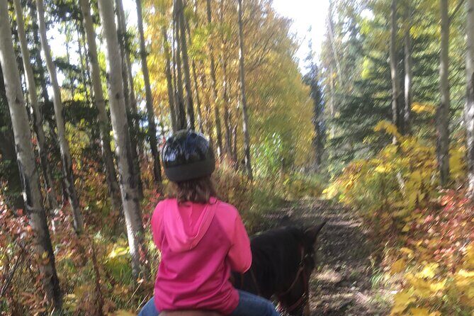 One and Half Hour Trail Ride at The Base of Chugach Mountains - The Scenery: A Visual Delight
