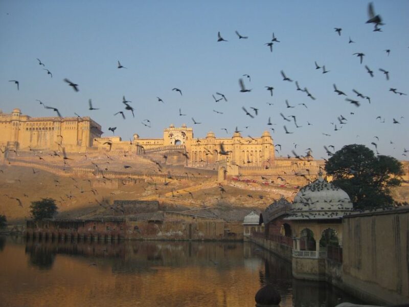 One Day Amer Fort & Jaipur City Tour From Delhi By Car - Itinerary Highlights