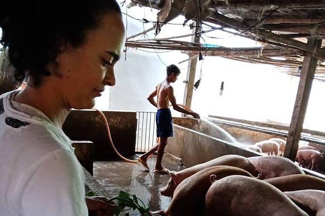 One Day Be Farmer and Master Chef in Saigon - Genuine Reviews and Ratings