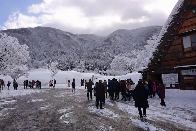 One-Day Bus Tour Departing From Kanazawa Station - Shirakawa-Go/Takayama Tour Platinum Route Bus Tour - Contact and Additional Information