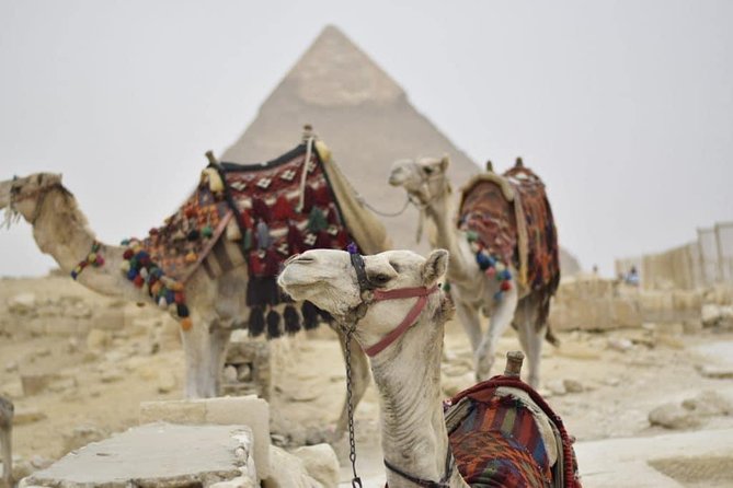 One Day Cairo Pyramids Trip From Hurghada - Frequently Asked Questions