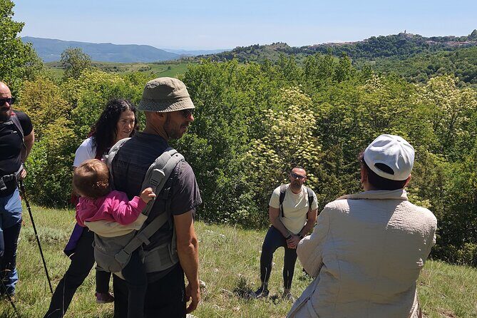 One day cheese making and tasting experience - FAQ