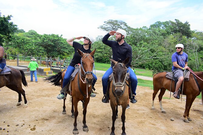 One Day Combo Tour Zipline, Horseback Riding, Host Springs Family Packages - Ratings and Reviews