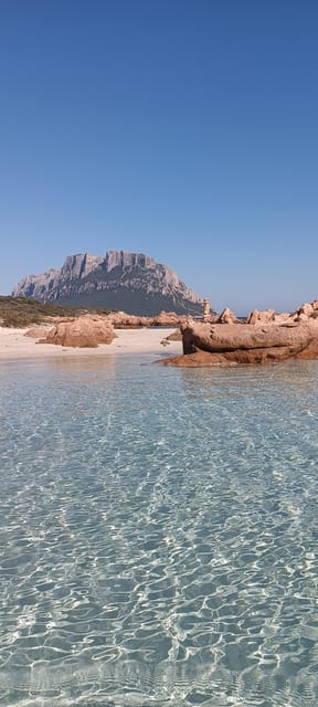One day Cruise Sardinia North East - Discovering Sardinia’s Northeast Coast: What to Expect