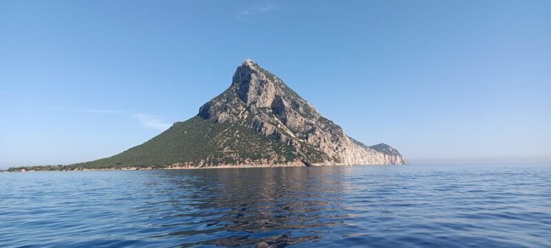 One day Cruise Sardinia North East - FAQ