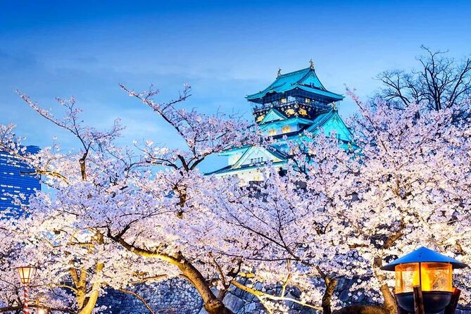 One Day Customized Self-Guided Tour in Osaka - Customization and Flexibility