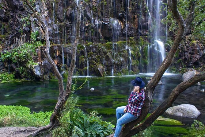 One-Day Dashbashi Canyon Guided Group Tour From Tbilisi - Key Points