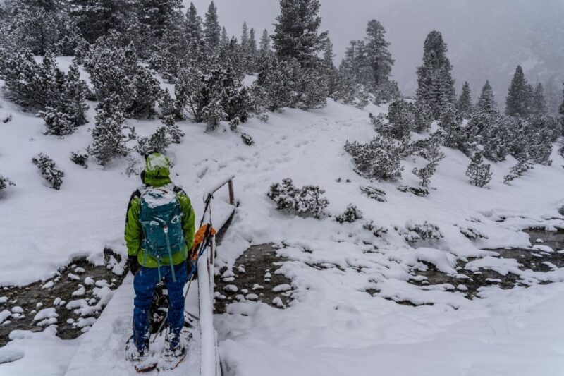 One day hike with snowshoes to discover Dolomites - Why Consider This Tour?