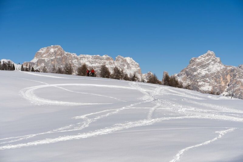 One day hike with snowshoes to discover Dolomites - Practical Details: What to Expect and How to Prepare