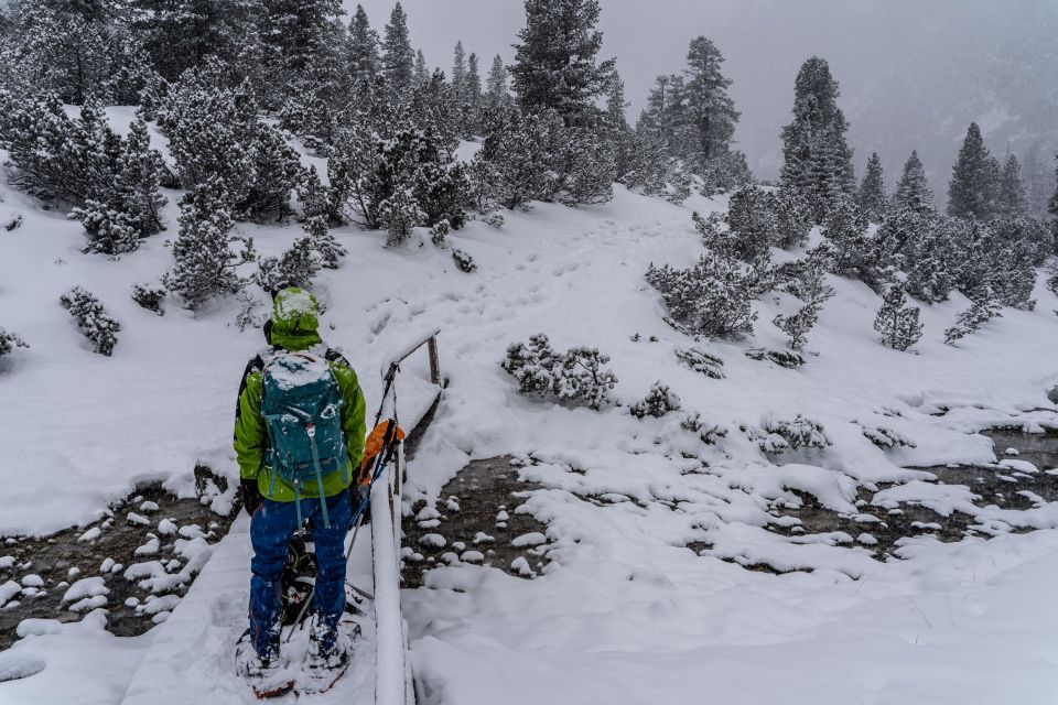 One Day Hike With Snowshoes to Discover Dolomites - Key Points