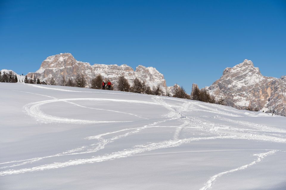 One Day Hike With Snowshoes to Discover Dolomites - Pricing and Booking